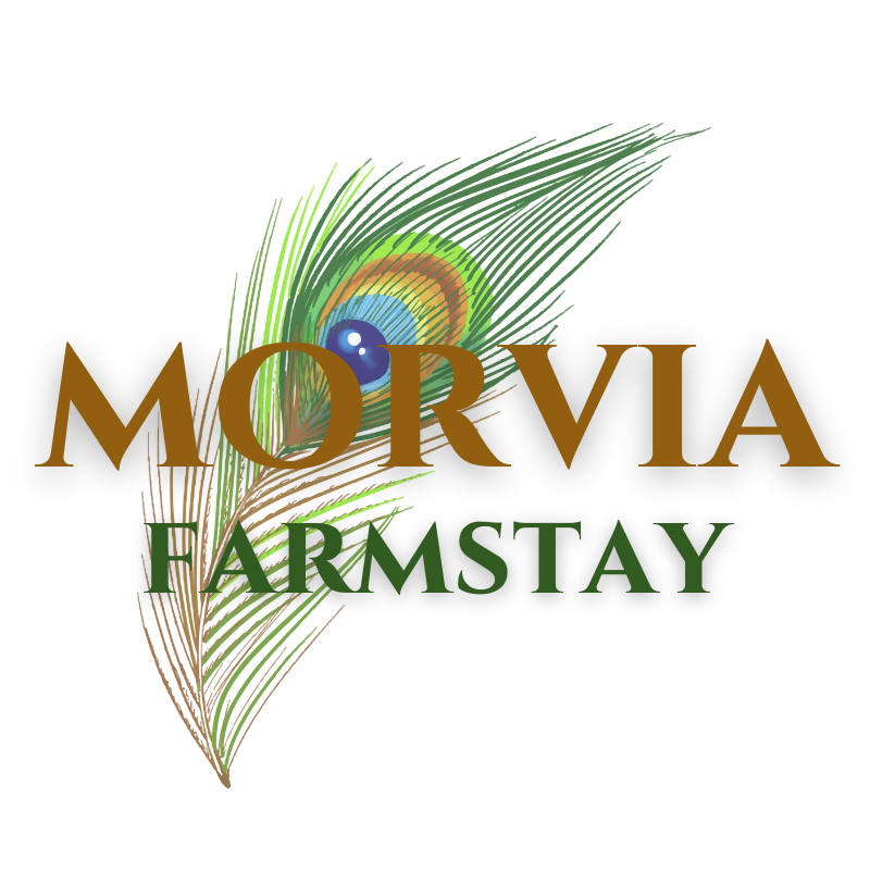 Morvia Farmstay Arutla Hills